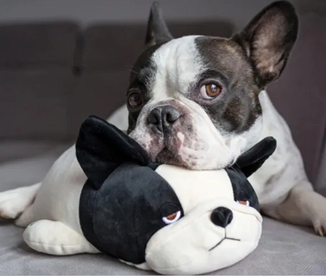 خمیر سگ و گربه دکتر کلادرز برای پشتیبانی از گوارش طعم جگر خوک