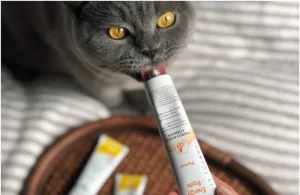 بهترین مولتی ویتامین برای گربه