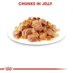 پوچ گربه بالغ عقیم رویال کنین استرلایزد مدل ژله ای وزن 85 گرم Royal Canin - Image 5
