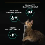 غذا خشک گربه بالغ عقیم پروپلن رنال پلاس طعم بوقلمون وزن 3 کیلوگرم ProPlan Renal Plus - Image 7
