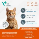 کپسول مکمل سگ و گربه وت اکسپرت برای پشتیبانی بیماری مزمن کلیه 60 عددی  Vet Expert RenalVet - Image 2