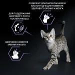 غذا خشک بچه گربه پروپلن (کیتن) طعم مرغ وزن 400 گرم ProPlan Kitten Healthy Start - تصویر 8