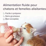 شیر خشک بچه گربه بیفار مدل لاکتول وزن 250 گرم Beaphar Lactol Kitten Milk - تصویر 8