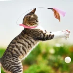 قلاده و اسباب بازی چندکاره گربه دارای پر و زنگوله - Image 5