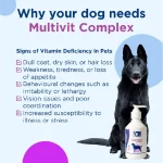 شربت مکمل مولتی ویتامین سگ تی آر ام مدل مولتی ویت کمپلکس حجم 200 میلی لیتر TRM Multivit Complex - تصویر 9