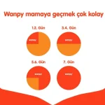 غذای خشک گربه بالغ ونپی طعم مرغ حاوی دانه تشویقی وزن 1 کیلوگرم (زیپ کیپ فله) Wanpy Adult Chicken - تصویر 2