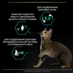 غذا خشک گربه عقیم شده رنال پلاس پروپلن طعم بوقلمون وزن 10 کیلوگرم Proplan Renal Plus - تصویر 9