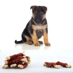 تشویقی توله سگ تیل سوینگرز مدل استخوان کلسیمی با اردک پاپی وزن 100 گرم Tail Swingers Bones Duck - Image 2