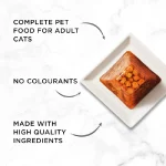 دسر تیکه ای گربه گورمت مدل رولیشنز طعم ماهی سالمون وزن 4*57 گرم Gourmet Revelations - Image 6