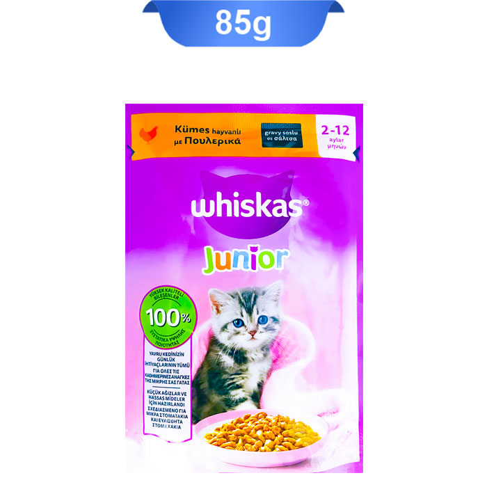 kitten- پوچ گربه جونیور ویسکاس طعم مرغ در سس