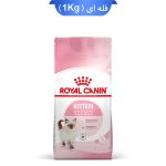 غذا خشک بچه گربه رویال کنین طعم مرغ مدل کیتن