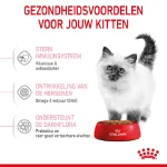 غذا خشک بچه گربه رویال کنین مدل کیتن طعم مرغ وزن 1 کیلوگرم (زیپ کیپ فله) Royal Canin kitten - Image 3