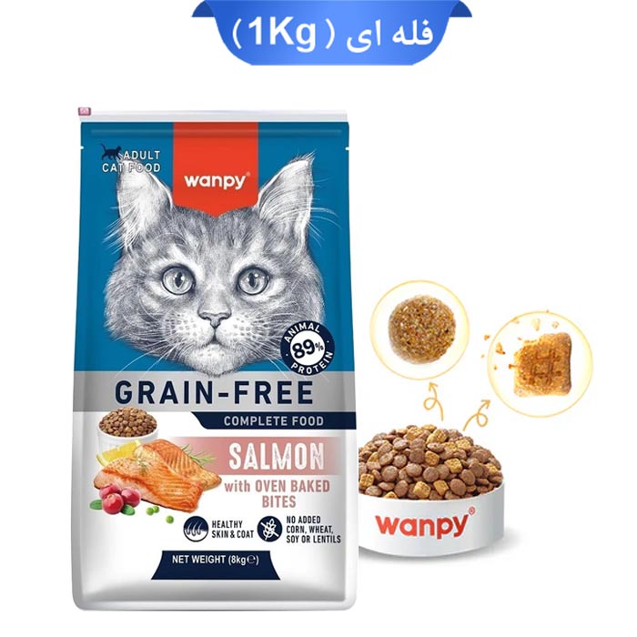 غذای خشک گربه بالغ ونپی طعم سالمون