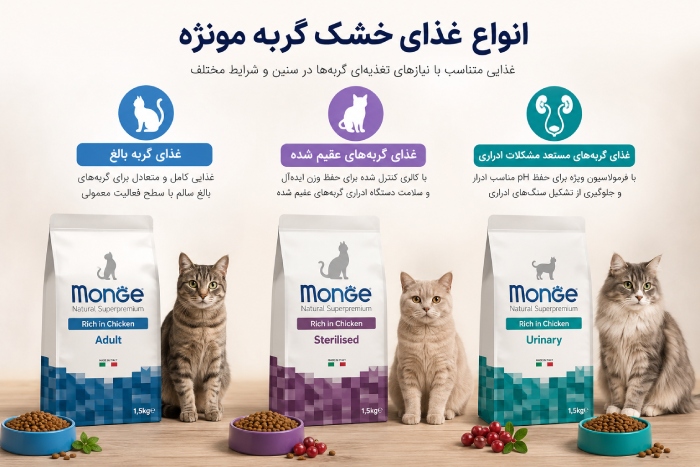 غذای گربه مونژه با بهترین کیفیت