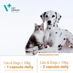 کپسول مکمل سگ و گربه وت اکسپرت برای تقویت سیستم ایمنی بدن 60 عددی Vet Expert VetoMune - Image 2