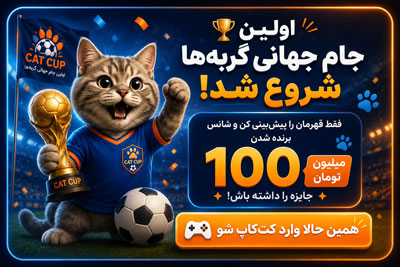 کت کاپ چیوو