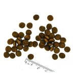 غذای خشک بچه گربه مونژه طعم ماهی قزل آلا مدل کیتن وزن 400 گرم Monge Natural Superpremium Kitten - تصویر 2