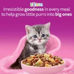 غذا خشک بچه گربه ویسکاس طعم مرغ حاوی دانه های تشویقی وزن 1/9 کیلوگرم Whiskas Kitten With Chicken - تصویر 5