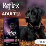 غذای خشک سگ بالغ رفلکس پلاس مدل های انرژی طعم گوشت گاو وزن 3 کیلوگرم Reflex Plus Adult High Energy - تصویر 3