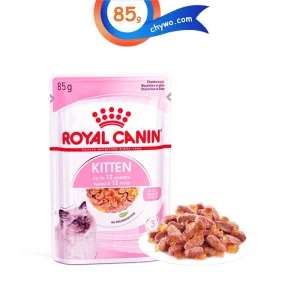 پوچ بچه گربه طعم مرغ در ژله رویال کنین