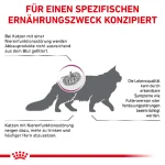 غذای خشک گربه رویال کنین مدل رنال اسپشیال وزن 2 کیلوگرم Royal Canin Renal Special - تصویر 8
