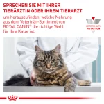 غذای خشک گربه رویال کنین مدل رنال اسپشیال وزن 2 کیلوگرم Royal Canin Renal Special - تصویر 4