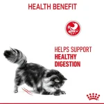 پوچ گربه رویال کنین برای حمایت از گوارش در سس مدل دایجستیو وزن 85 گرم Royal Canin Digestive Care - تصویر 3