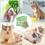 تشویقی علف گربه کت گرس با طعم مرغ مدل میله‌ای وزن 30 گرم Cat Grass Teething Stick - تصویر 4