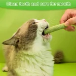 تشویقی علف گربه کت گرس با طعم مرغ مدل میله‌ای وزن 30 گرم Cat Grass Teething Stick - تصویر 5