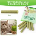 تشویقی علف گربه کت گرس با طعم مرغ مدل میله‌ای وزن 30 گرم Cat Grass Teething Stick - تصویر 7